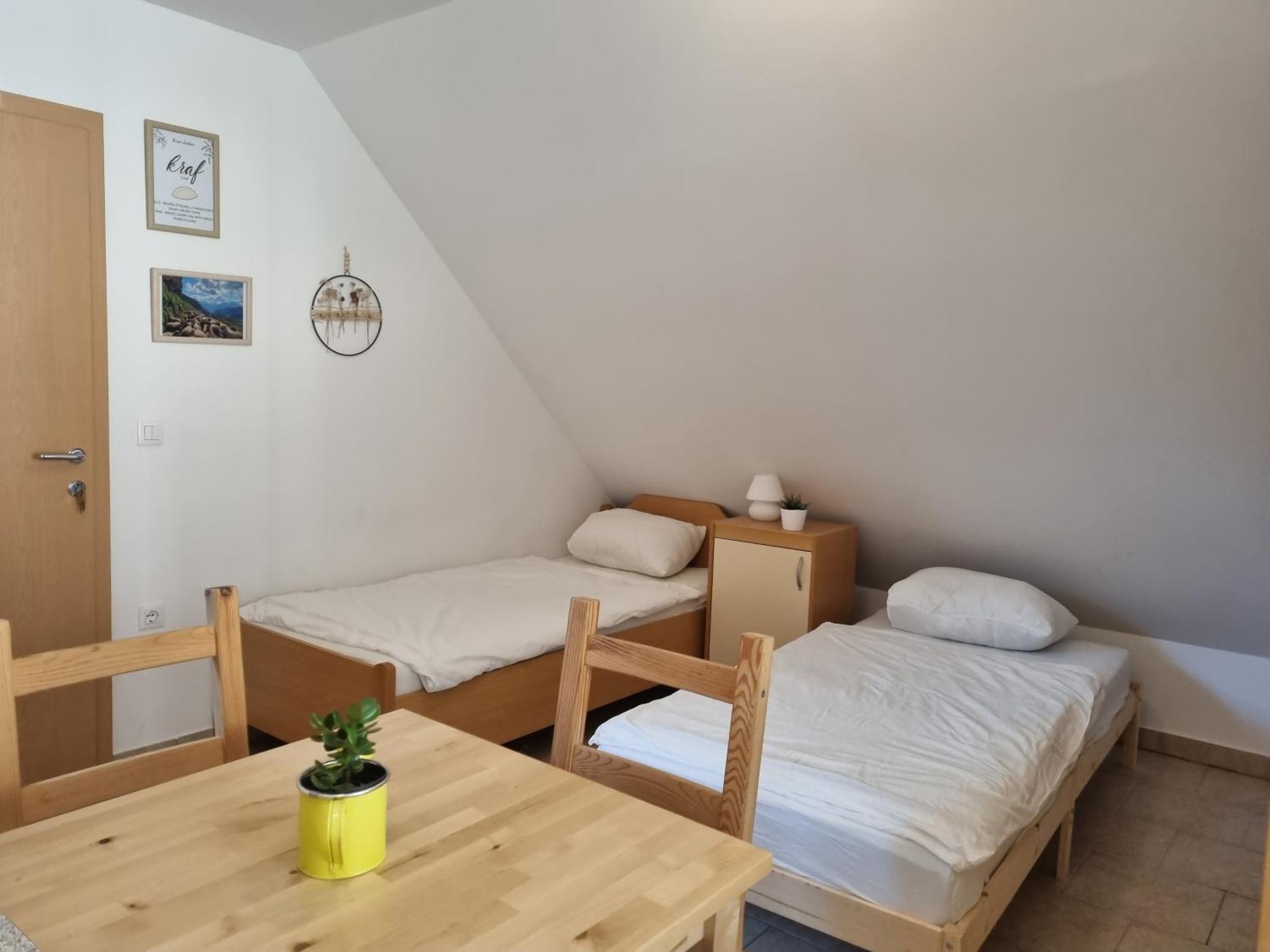 Apartmaji Pri Ticelnu Bovec Eksteriør billede