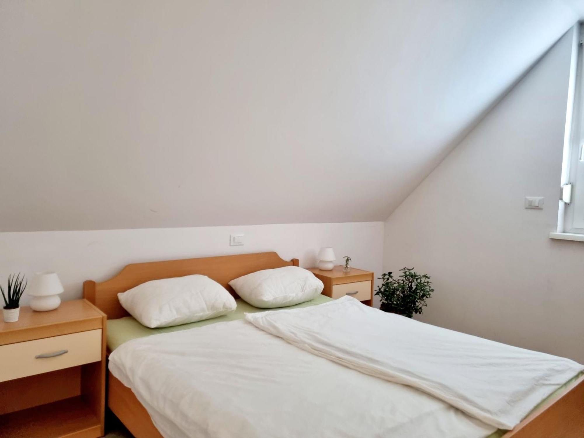 Apartmaji Pri Ticelnu Bovec Eksteriør billede