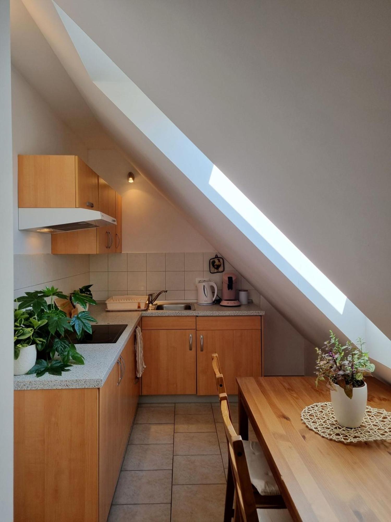 Apartmaji Pri Ticelnu Bovec Eksteriør billede